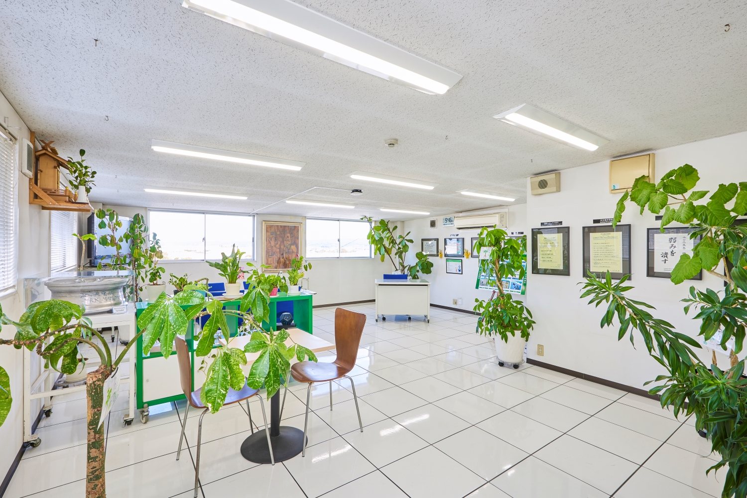 会社概要